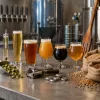 Fall Beer Guide: Five Styles That Carry You From September Into Sweater Weather