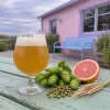 Why double IPA (dipa) hits so hard and tastes so good