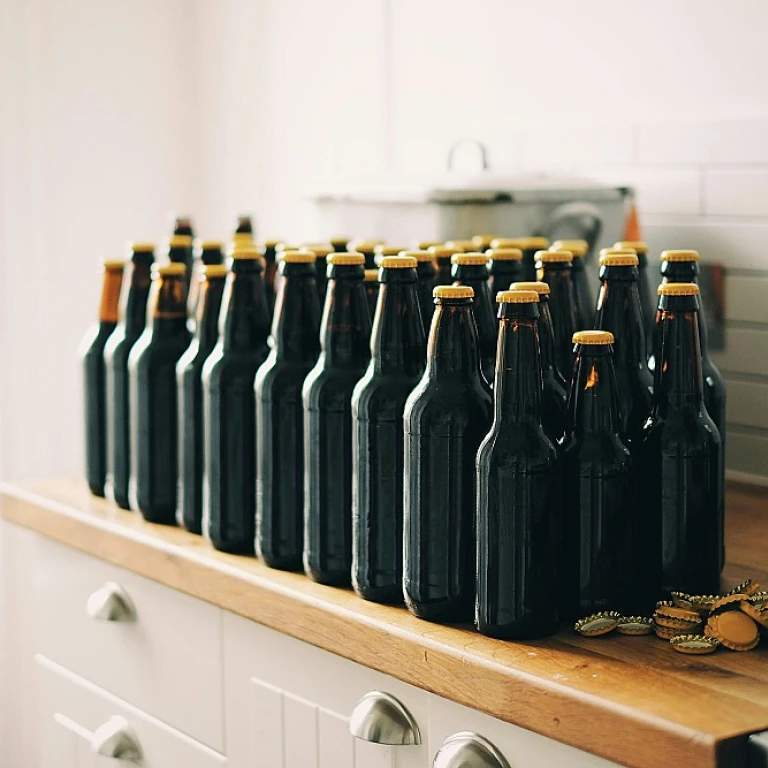 Exploring the Varieties of Dark Beer
