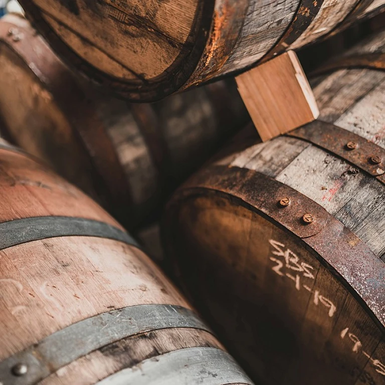 Understanding the Difference Between Beer and Ale