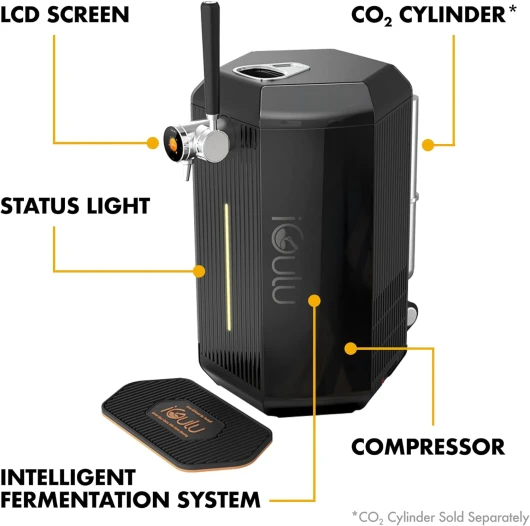 71JkjgVFyGL._AC_SL1500_