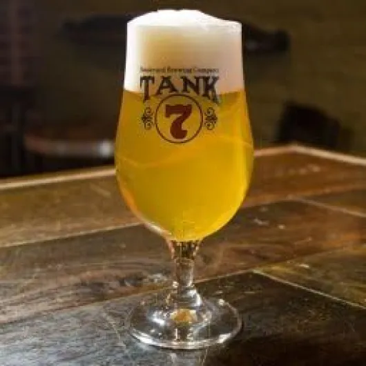 Tank 7 Tulip Glass