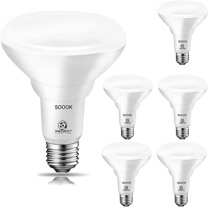 Energetic 6 Pack 65W BR30 LED Recessed Light Bulb, Dimmable, 650 Lumens, 5000K Daylight, E26 Base, Indoor Flood Light for 5/6 Inch Cans Daylight 5000k 6 Count (Pack of 1)