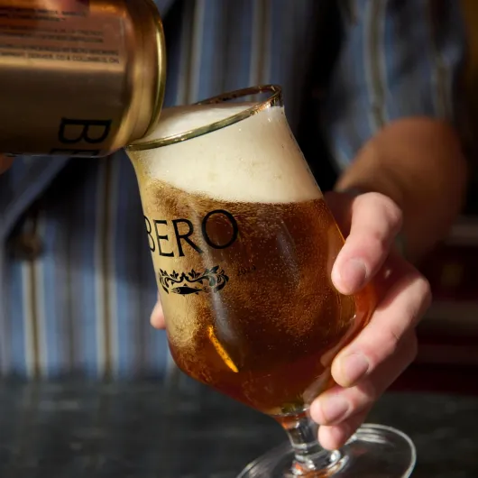 717SeI6AbDL._SL1500_