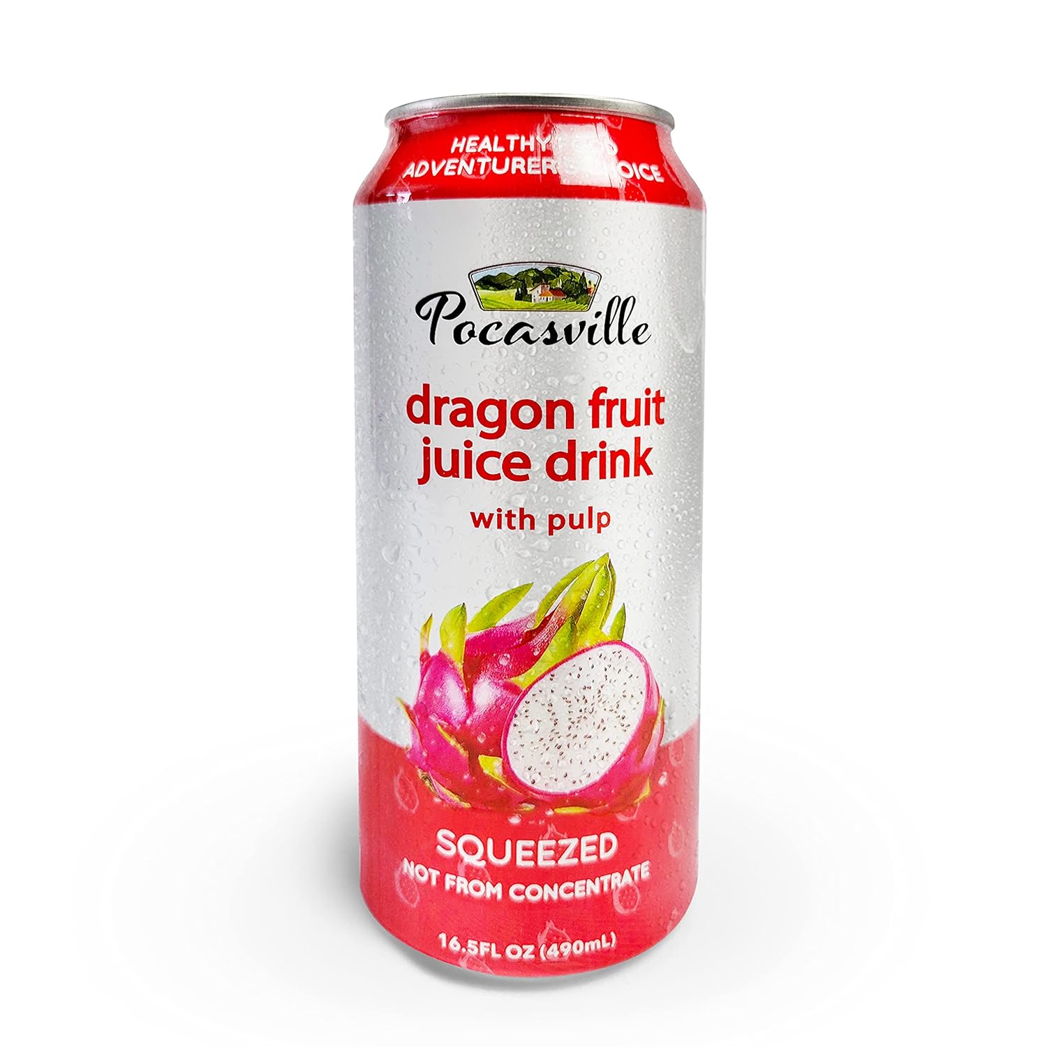 Ville Fruit Juices 16.5 Fluid Ounce (Pack of 12) (Dragon Fruit)