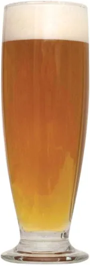 Belgian Saison Farmhouse Ale Extract Beer Recipe Kit - Ingredients for Making 5 Gallons Light