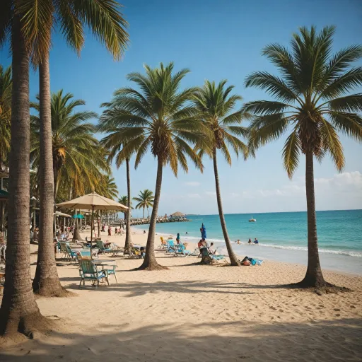 Why reef donkey is the go-to american pale ale in tampa bay