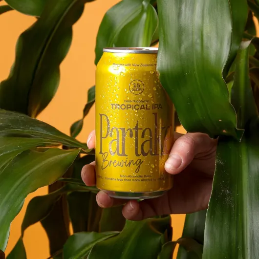 81okINZkY0L._SL1500_