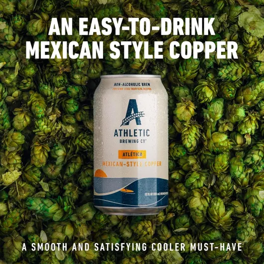 91fbpCDfYcL._SL1500_