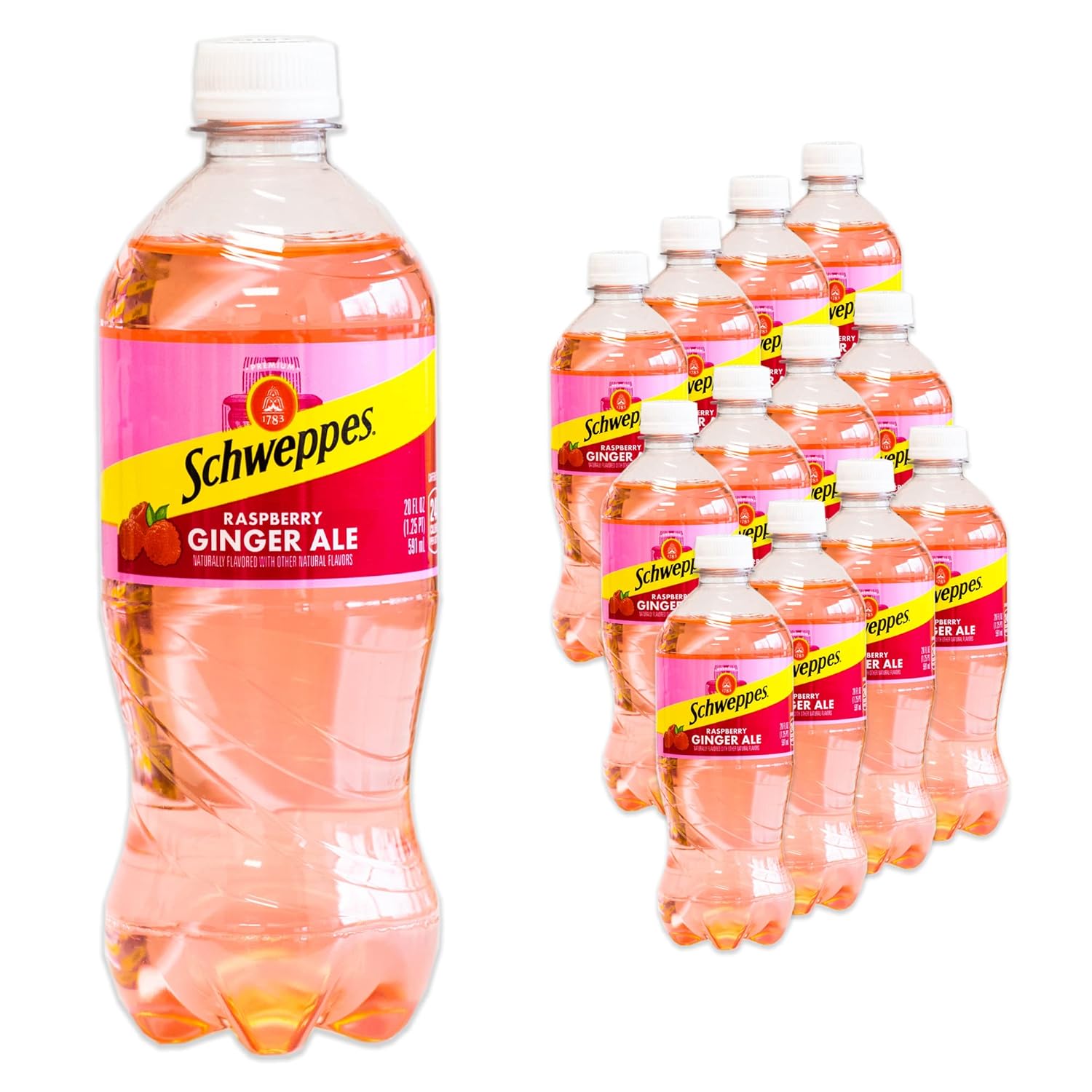 Raspberry Ginger Ale - Refreshing, Crisp, Delicious - 12, 20oz Bottles