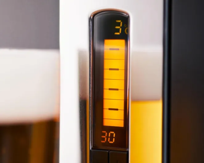 71R6VTjPxkL._AC_SL1500_