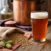 Home Brewing Kit for Beginners: What You Actually Need (And What is Marketing Fluff)