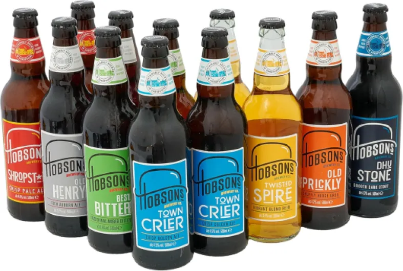 81LyzUWopFL._AC_SL1500_