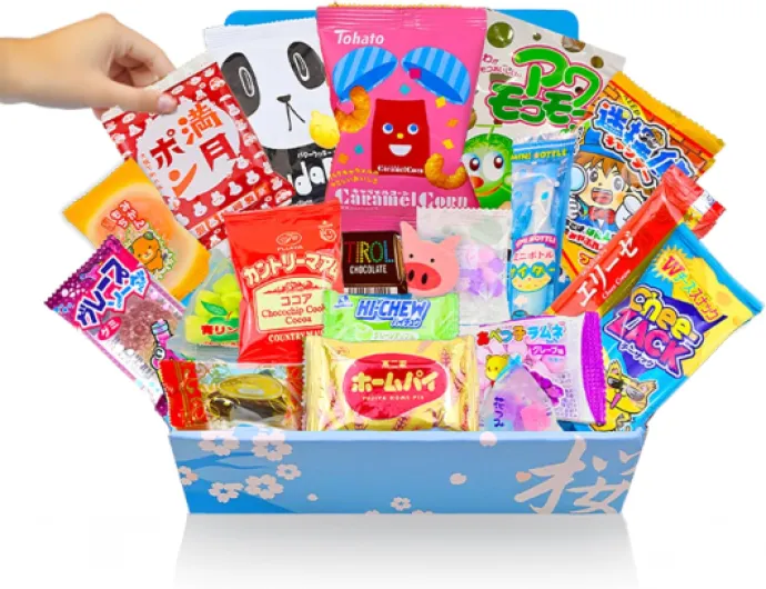 81V7rsMN UL._AC_SL1500_