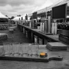 Your First Craft Beer Festival: A Survival Guide From People Who've Been