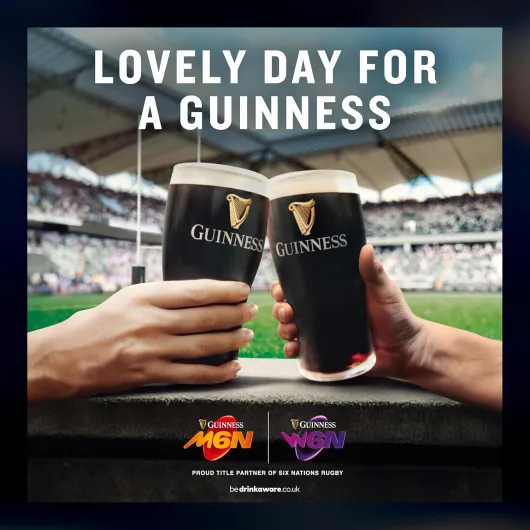 Guinness Foreign Extra Stout, 12 x 330 ml