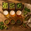 Choosing the best hop varieties for IPA homebrew that really pop in the glass