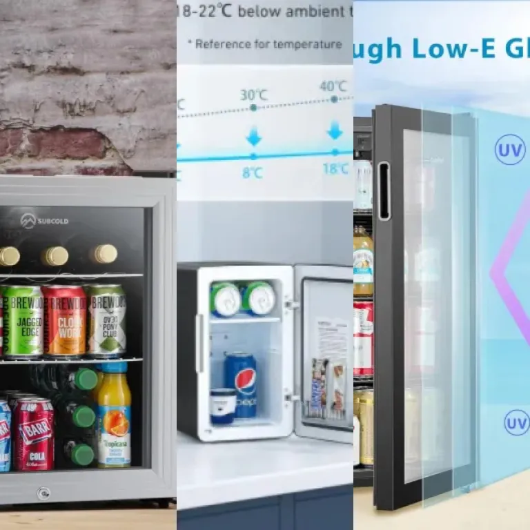 Guide: the 5 best beer Coolers & Mini Fridges (2026)