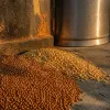 Mx lager : how Mexican lager style grew from Vienna roots to global favorite