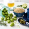 Why west coast IPA still hits so hard for hop lovers