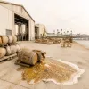 Ballast Point Faces Collapse: How a $3 Million Loan Scandal Could End a San Diego Icon